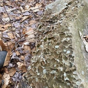 Meet your Posher, Quentin